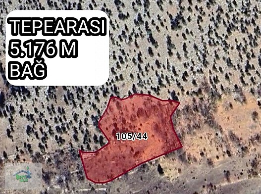 KONYA BOZKIR TEPEARASI KÖYÜNDE 5.176M² BAĞIMIZ SATILIKTIR. - KONYA BOZKIR fotoğraf 21